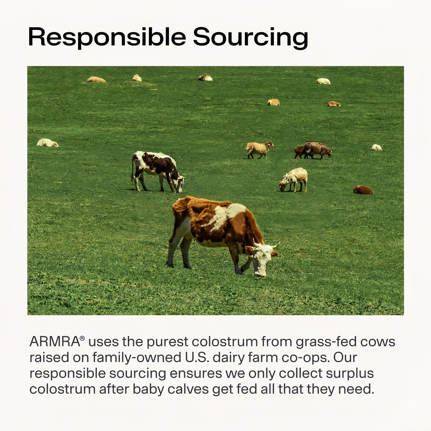 ARMRA Colostrum Powder | Unflavored | Gut Health & Bloating | Skin & Hair | Immunity | Keto, Gluten & Fat-Free | 120 Servings